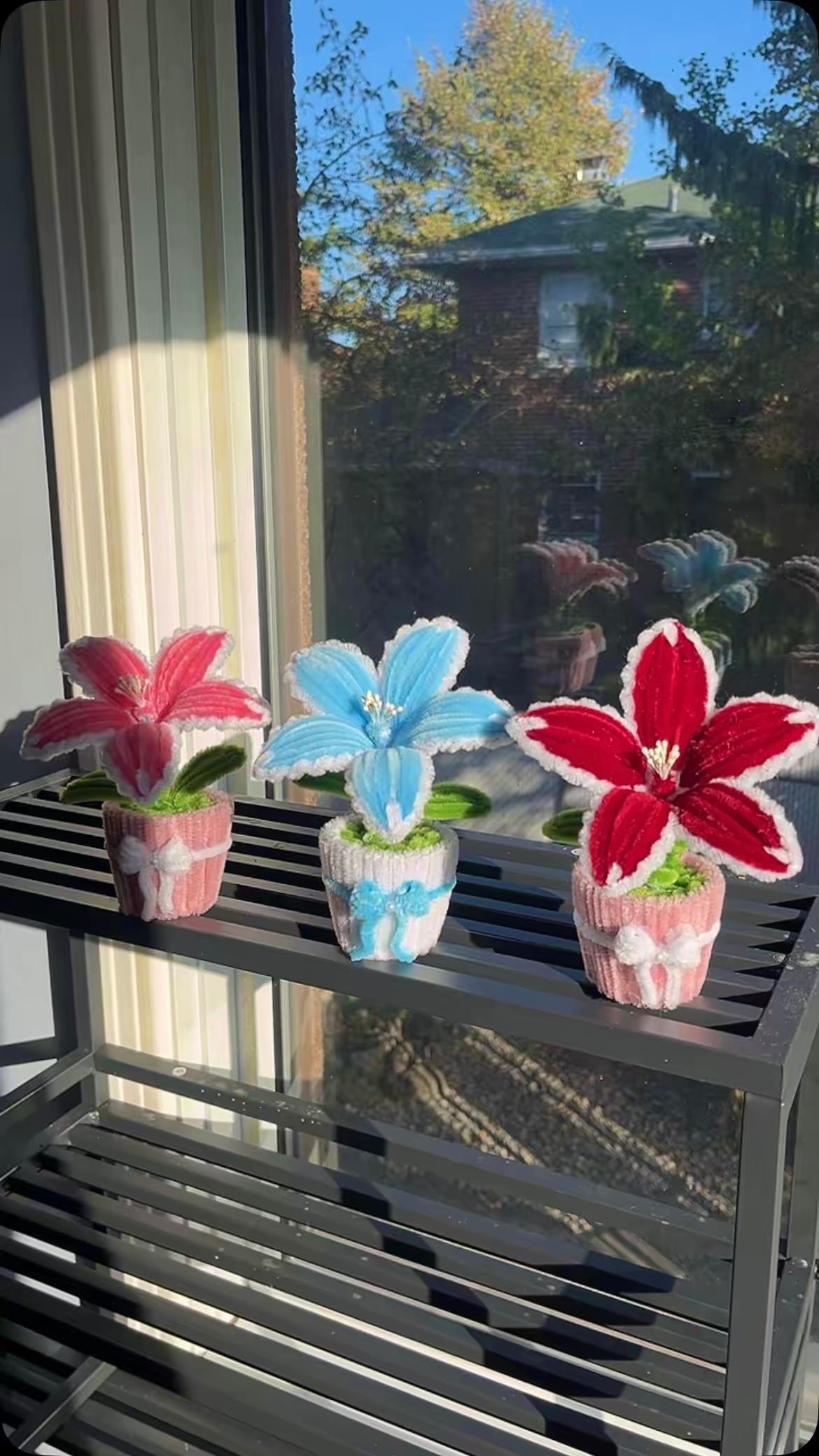 miniature tiger lilies Tiger Lily Mini Pot – FlowerBloomCreation