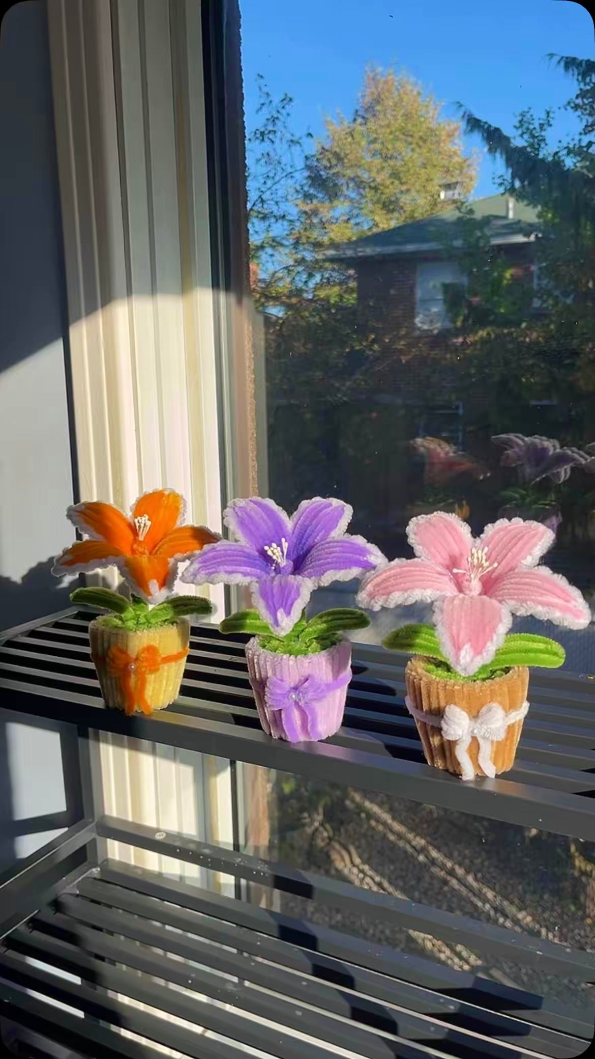 mini tiger lilies Tiger Lily Mini Pot – FlowerBloomCreation