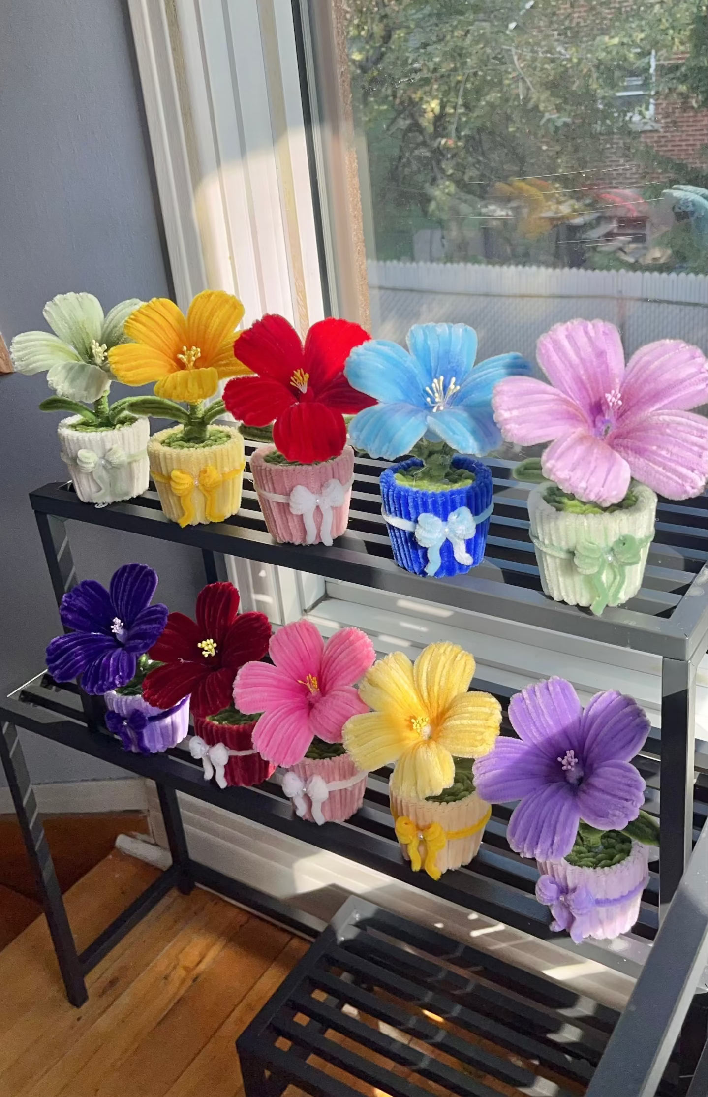Hibiscus Mini Pot