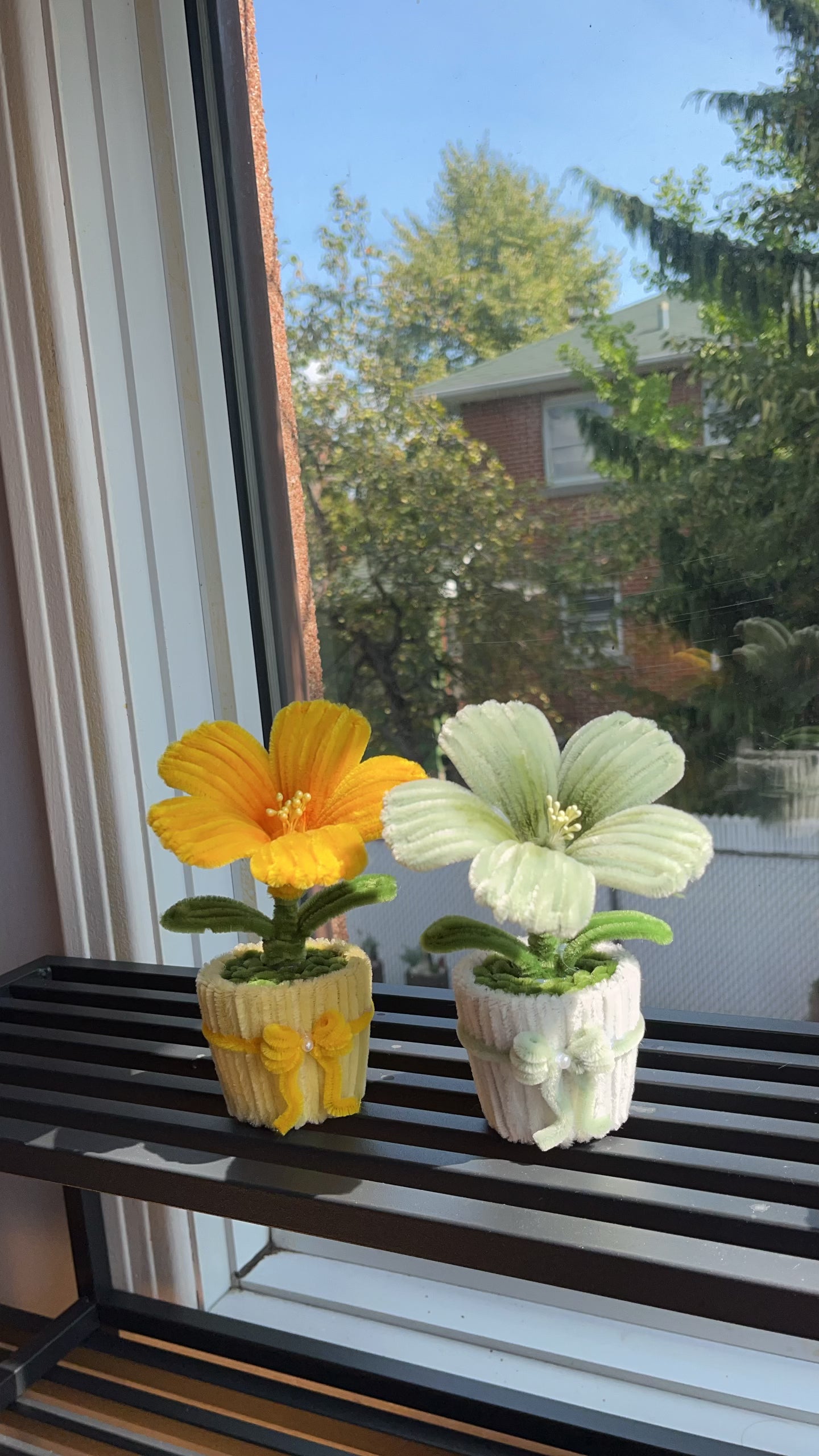 Hibiscus Mini Pot
