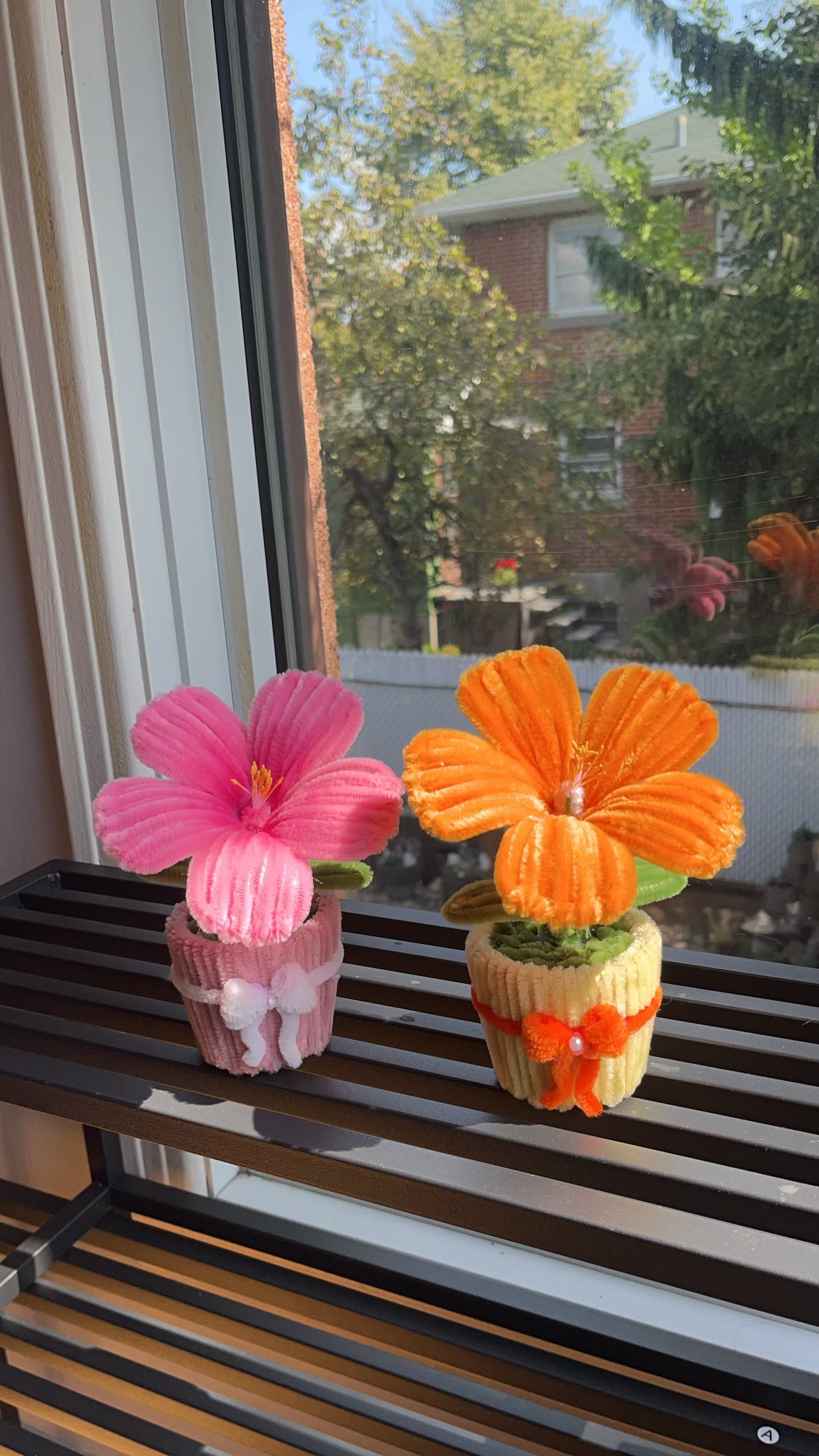 Hibiscus Mini Pot