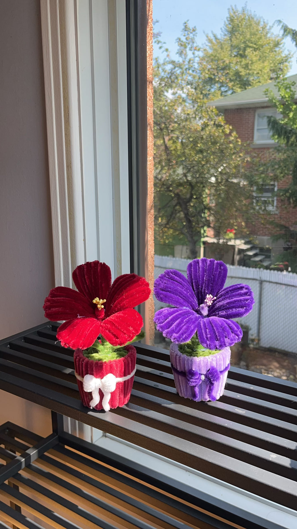 Hibiscus Mini Pot