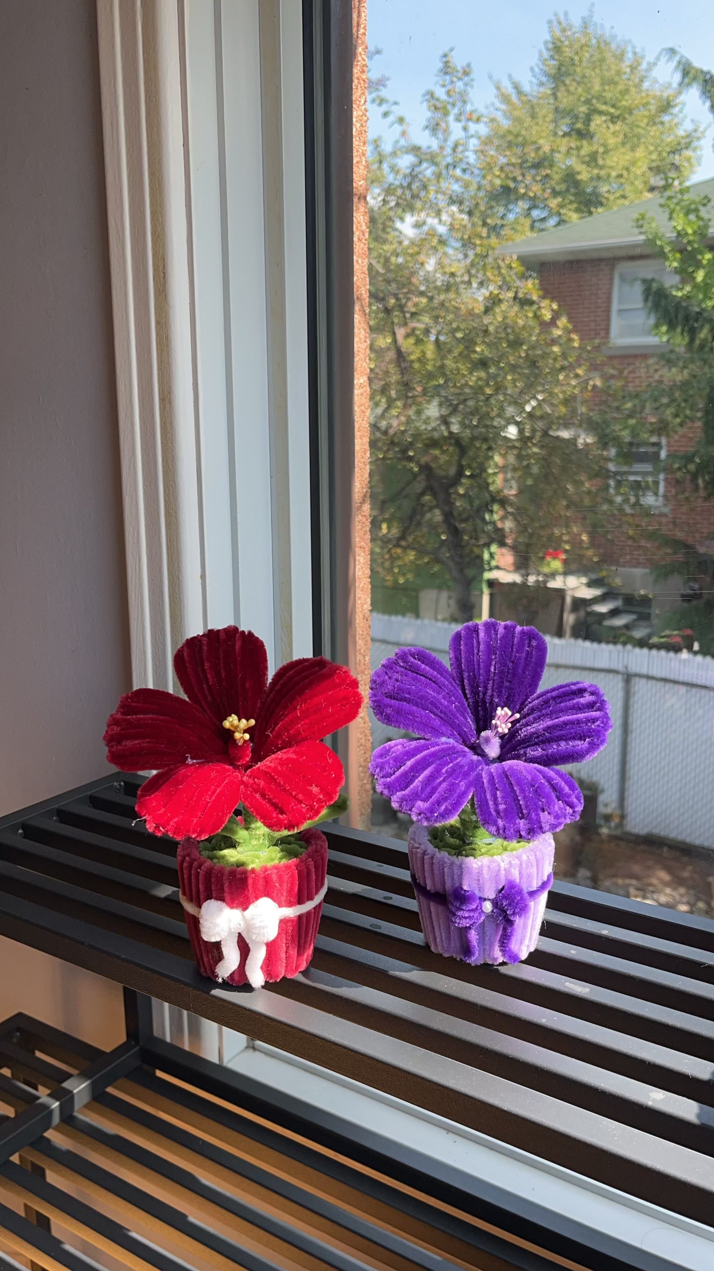 Hibiscus Mini Pot