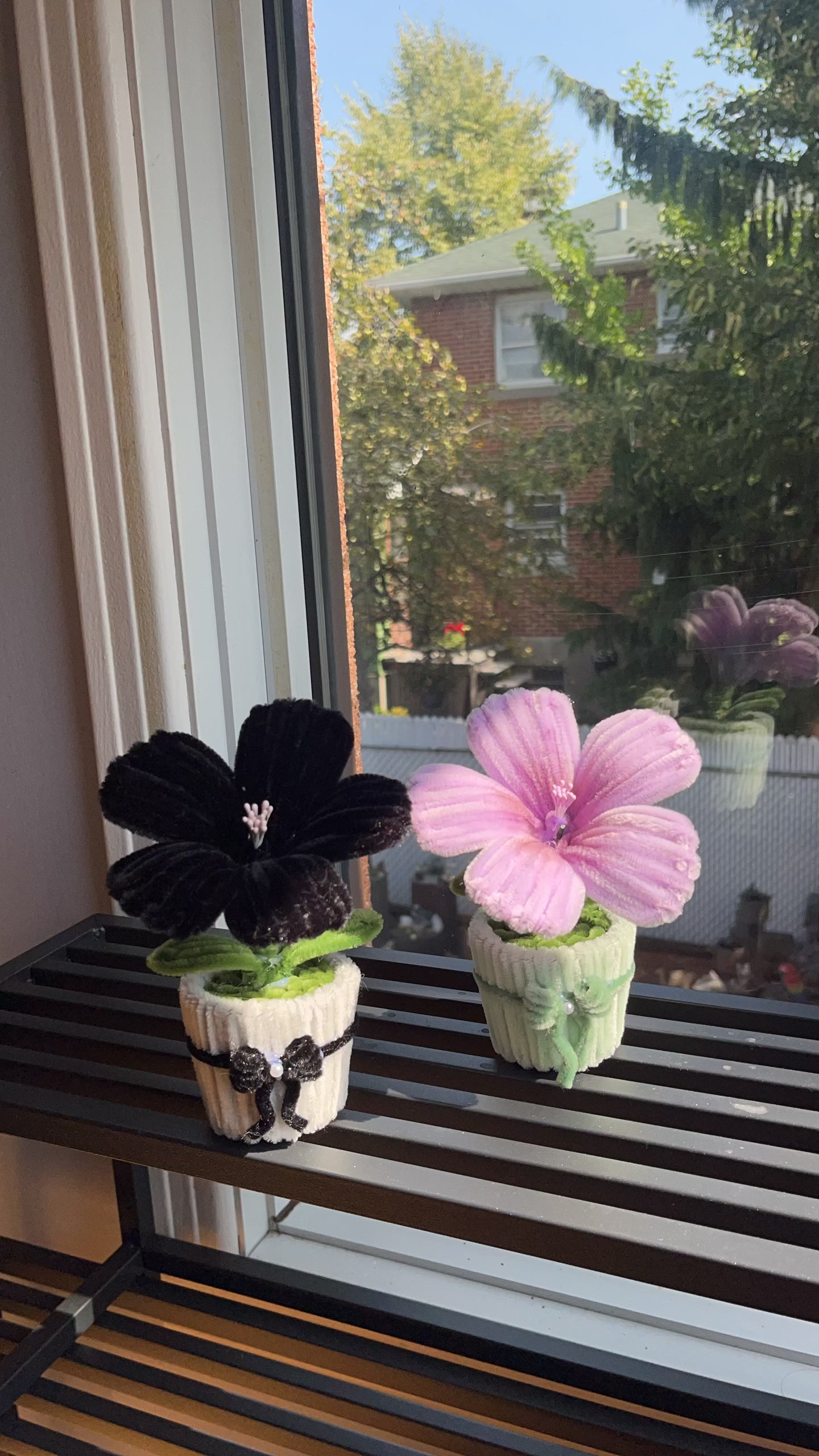 Hibiscus Mini Pot