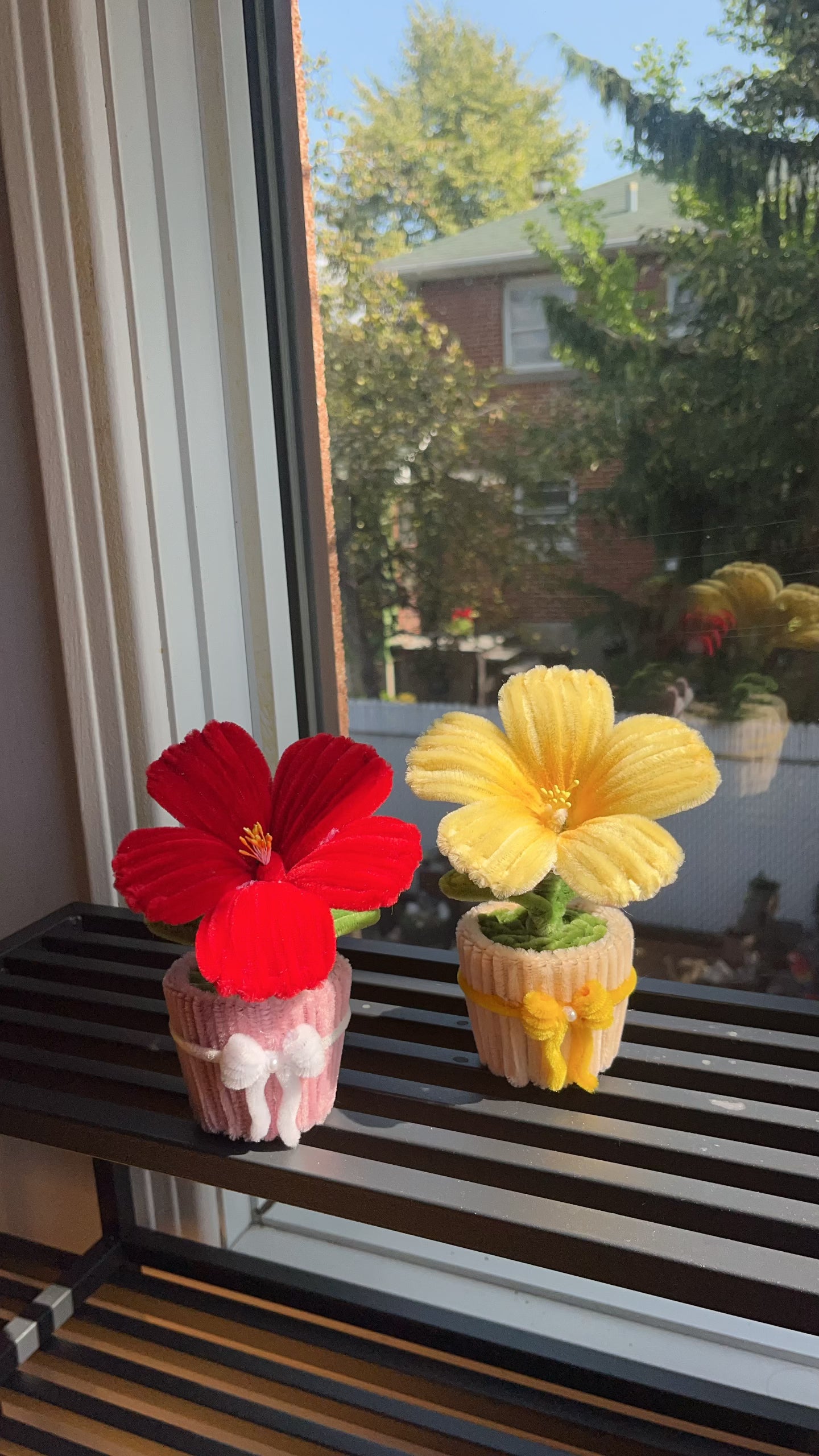Hibiscus Mini Pot