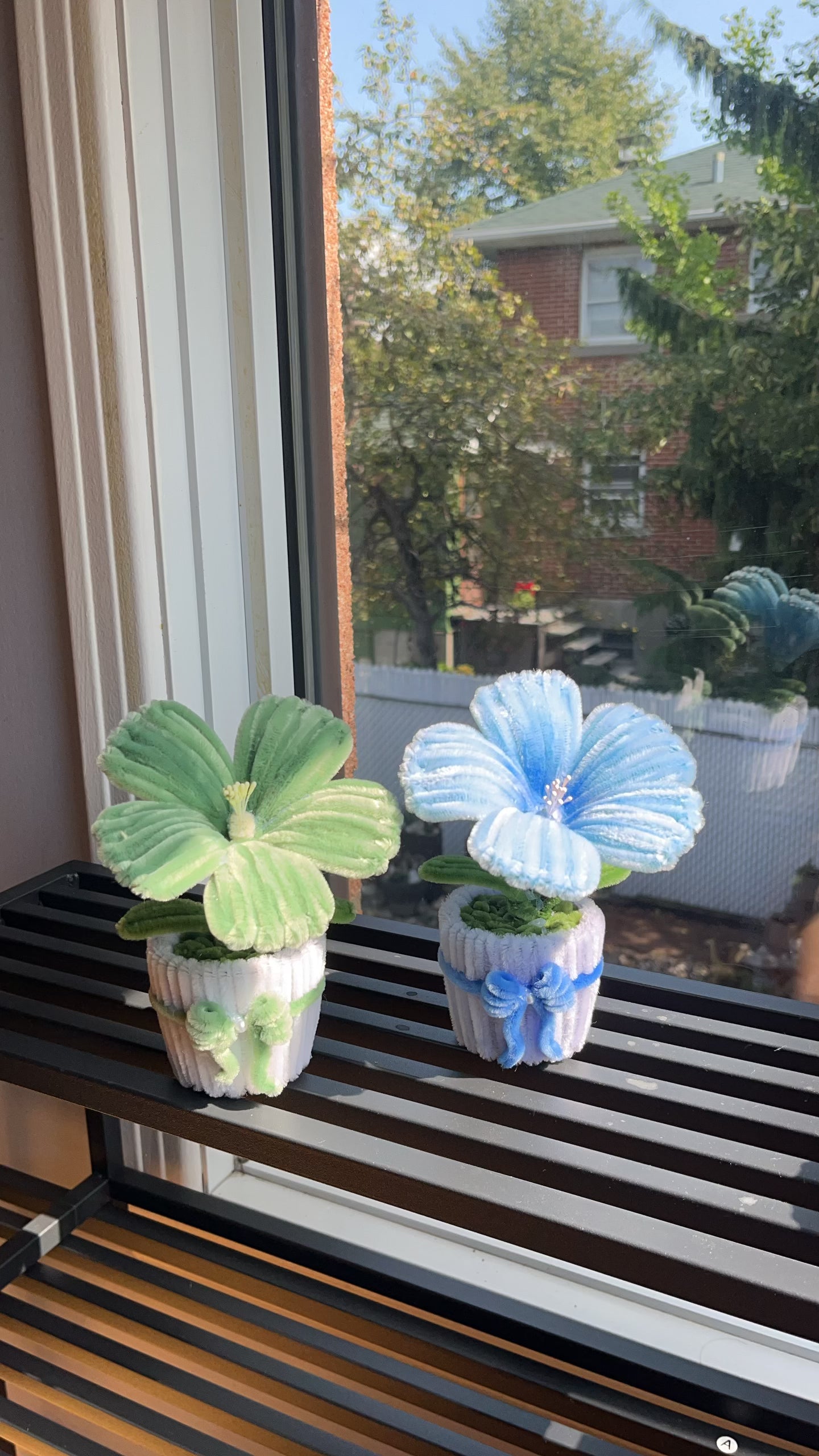 Hibiscus Mini Pot