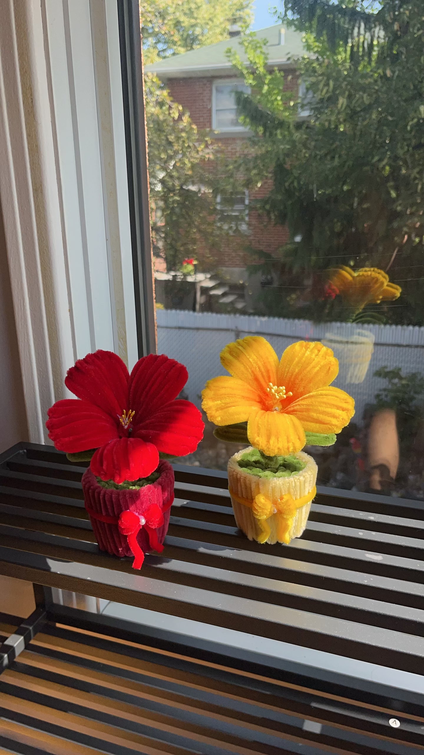 Hibiscus Mini Pot