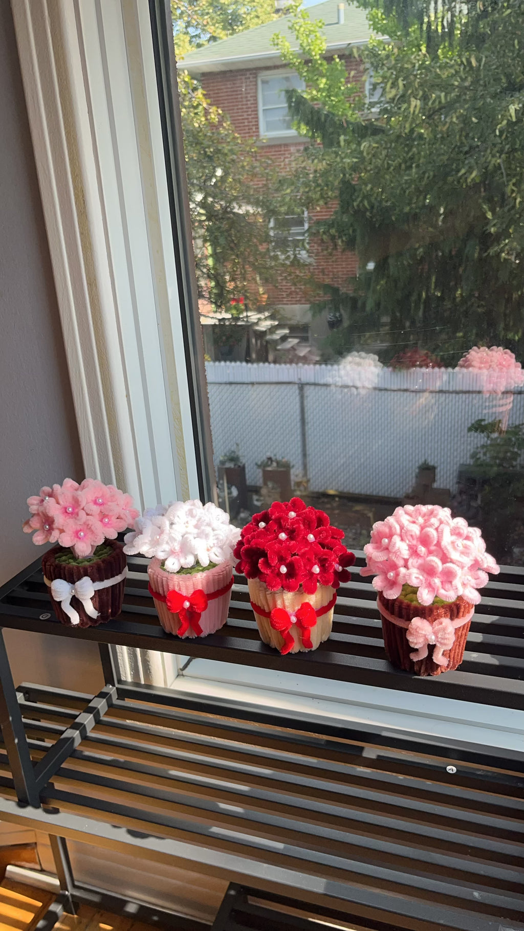 Hydrangea Mini Pot