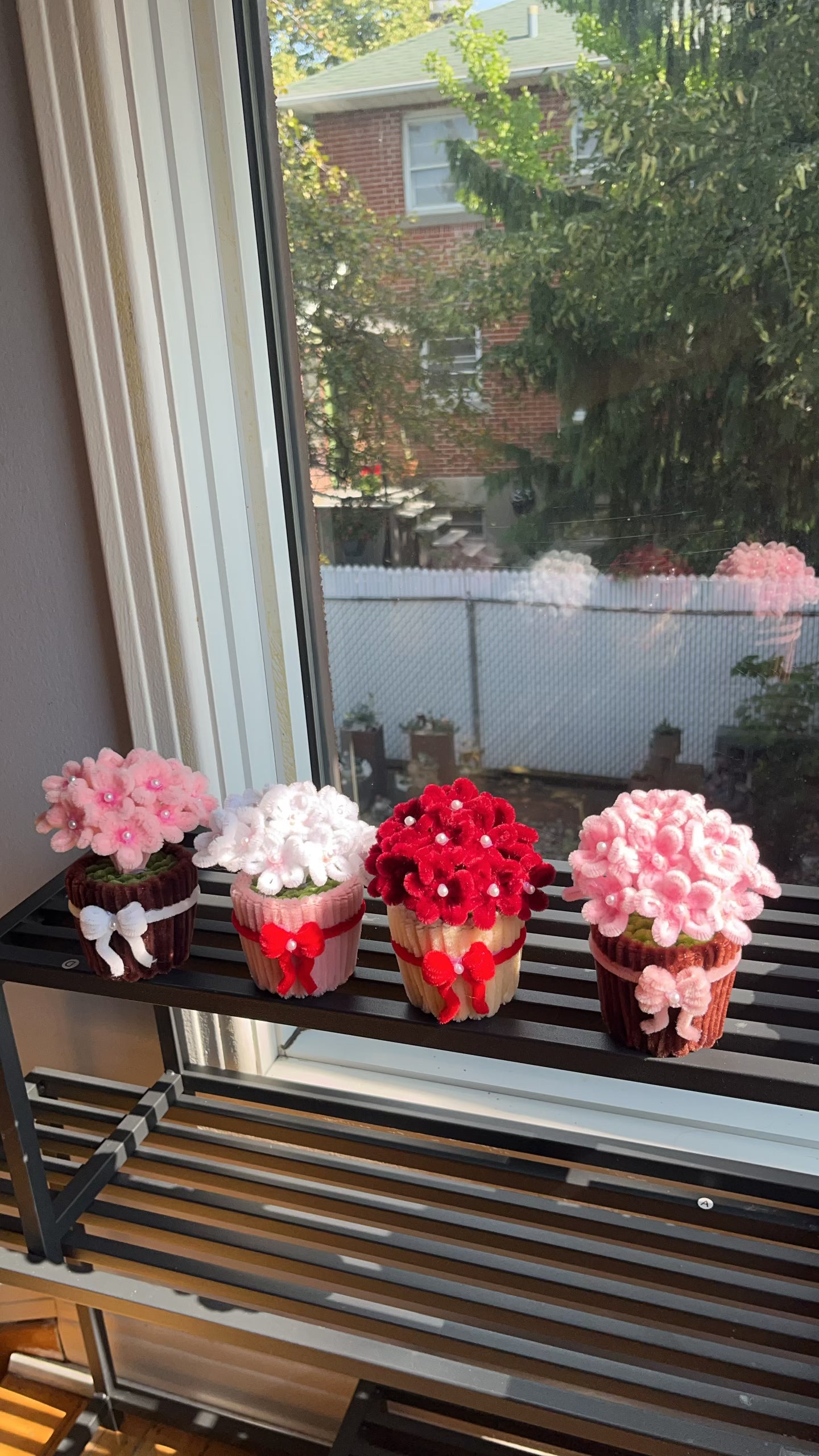 Hydrangea Mini Pot