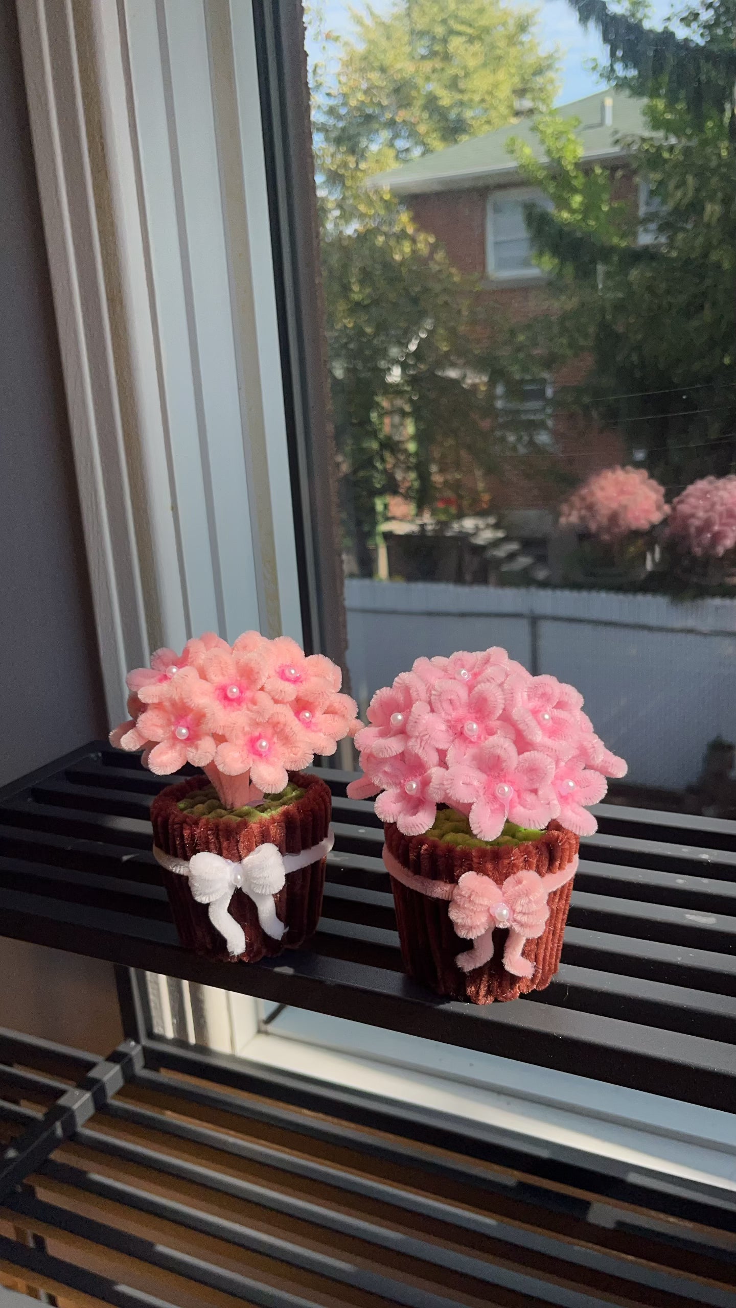 Hydrangea Mini Pot